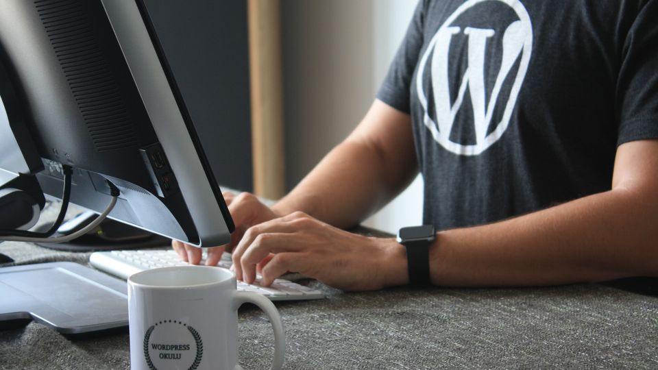 WordPress 6.2: Style book, Openverse and innovations