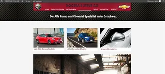 NOCERA & STRUB AG Logo