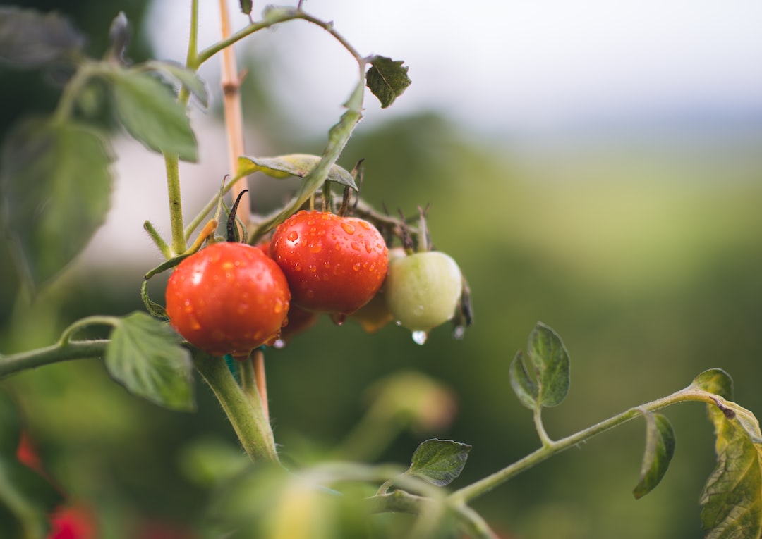 What is organic traffic?